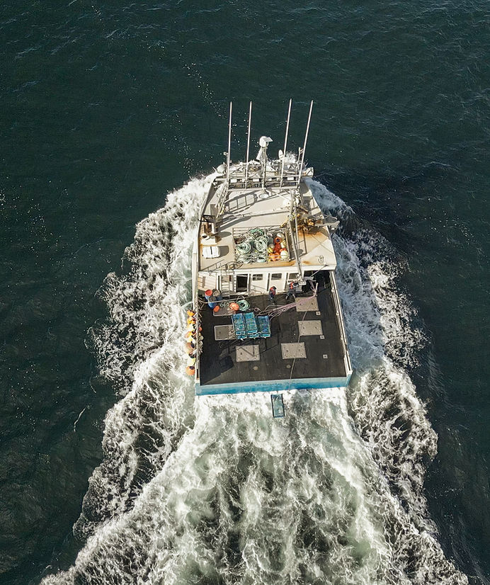 Gallery | Ship's Lobster Pound Ltd. | Nova Scotia, Canada